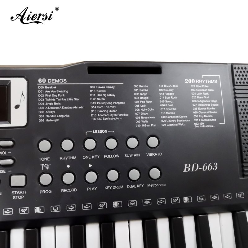 aiersi cheap price electronic organ (1)